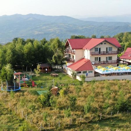 Pensiune Runcu Stone Esterno foto