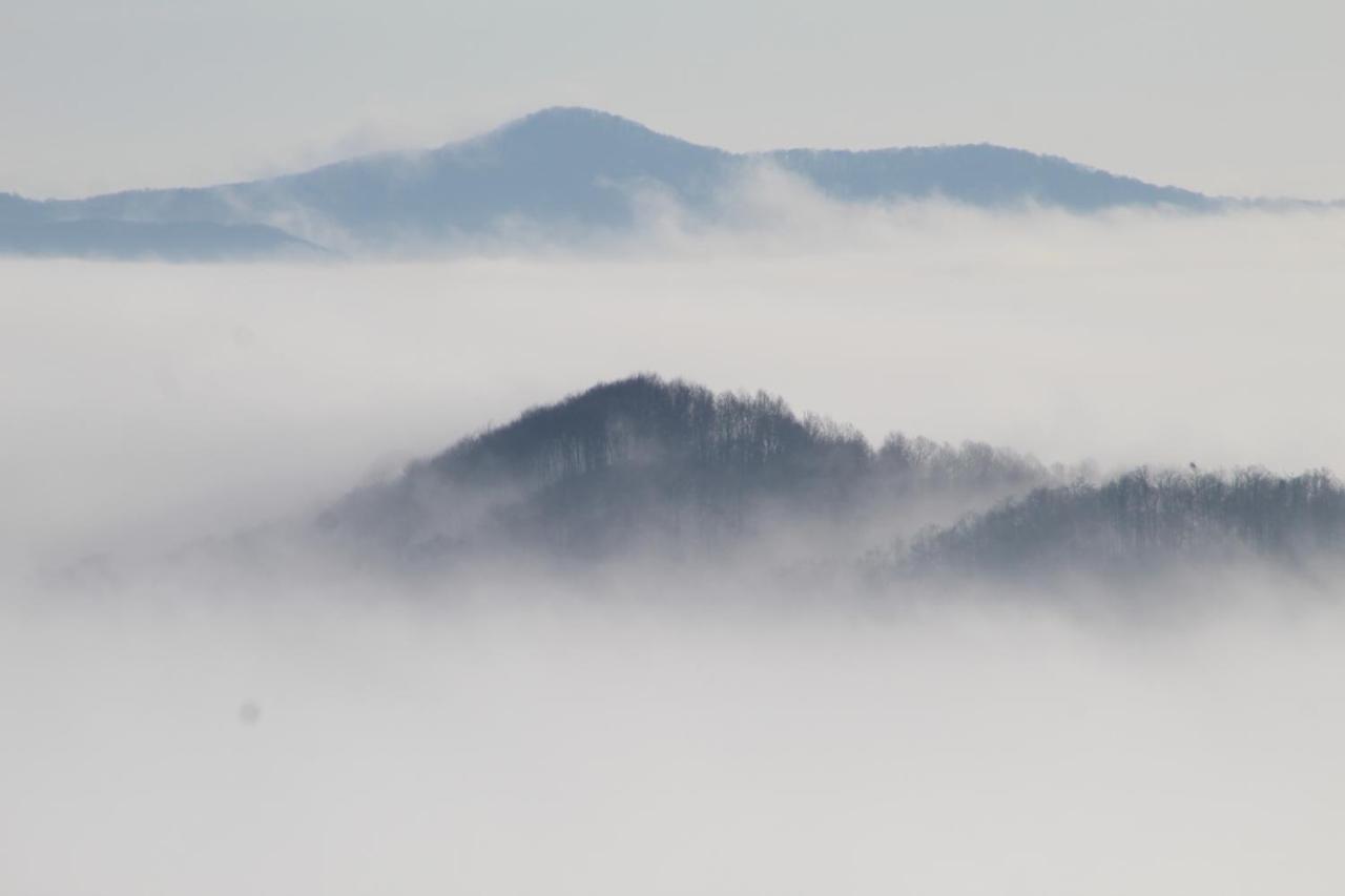 Pensiune Runcu Stone Esterno foto