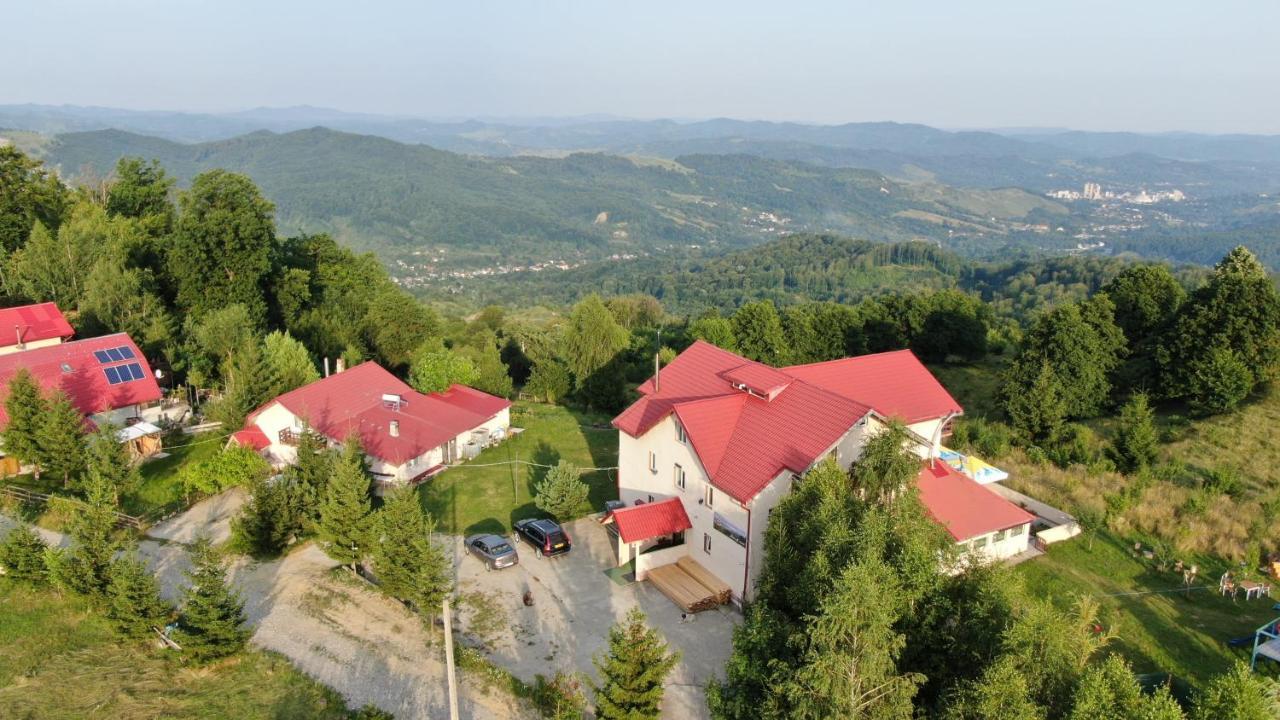 Pensiune Runcu Stone Esterno foto