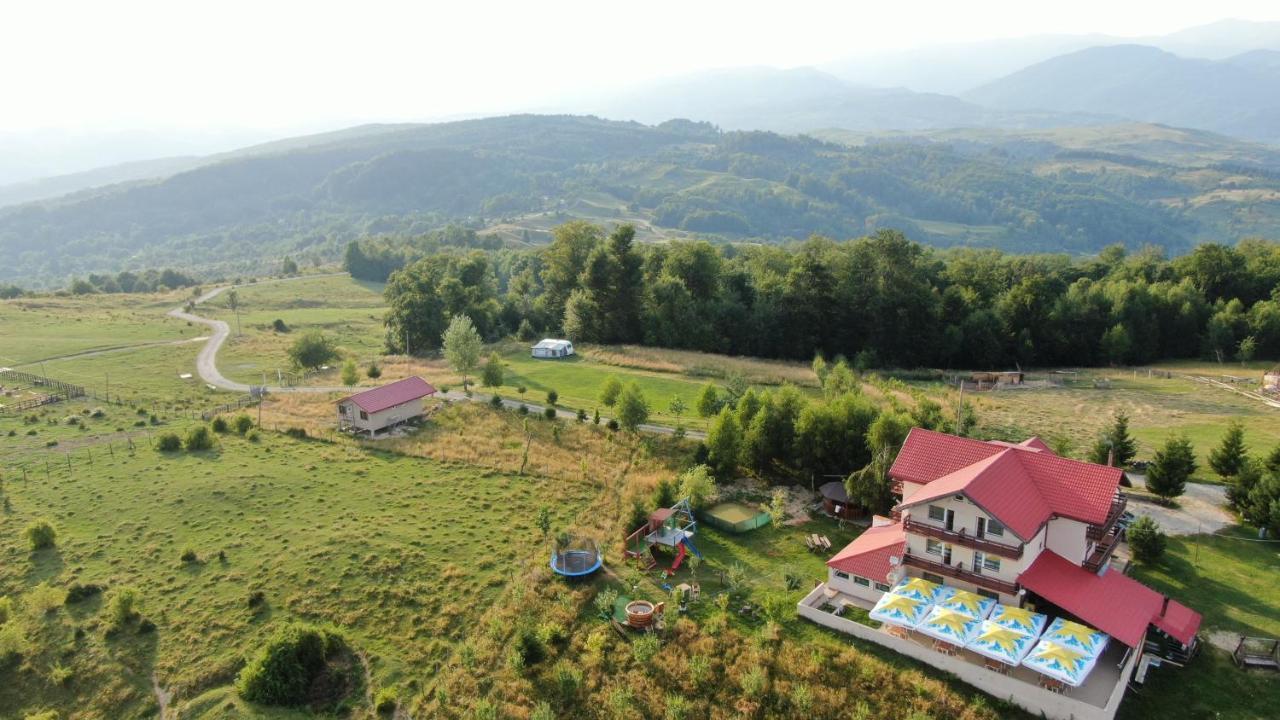 Pensiune Runcu Stone Esterno foto
