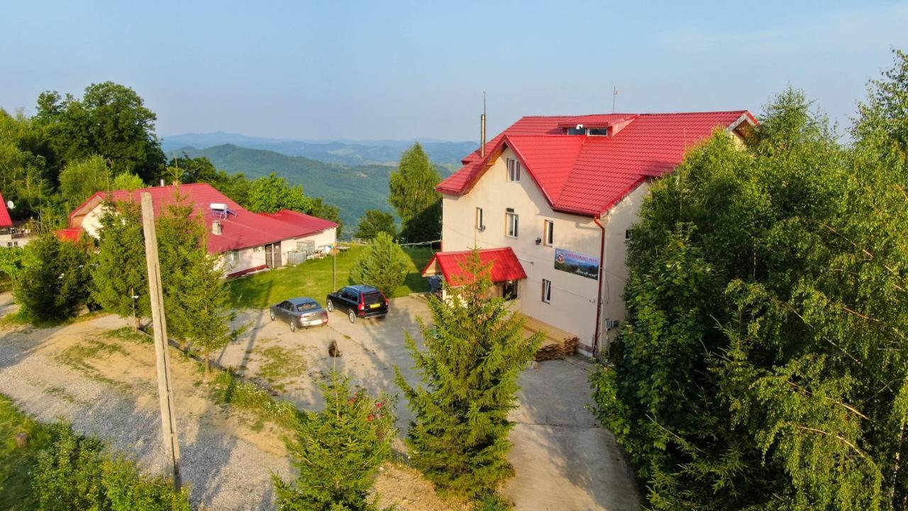 Pensiune Runcu Stone Esterno foto