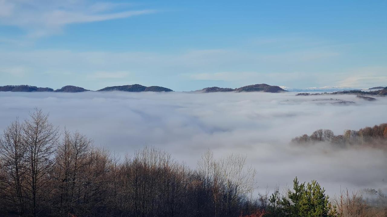 Pensiune Runcu Stone Esterno foto
