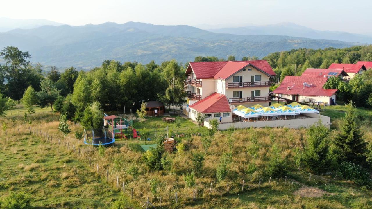 Pensiune Runcu Stone Esterno foto